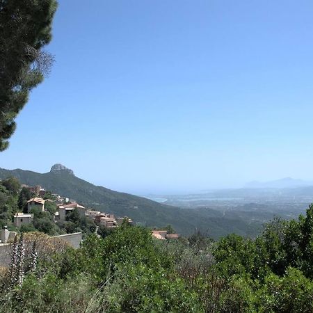 Montecolcau Panoramic View Apartment Baunei Exterior photo
