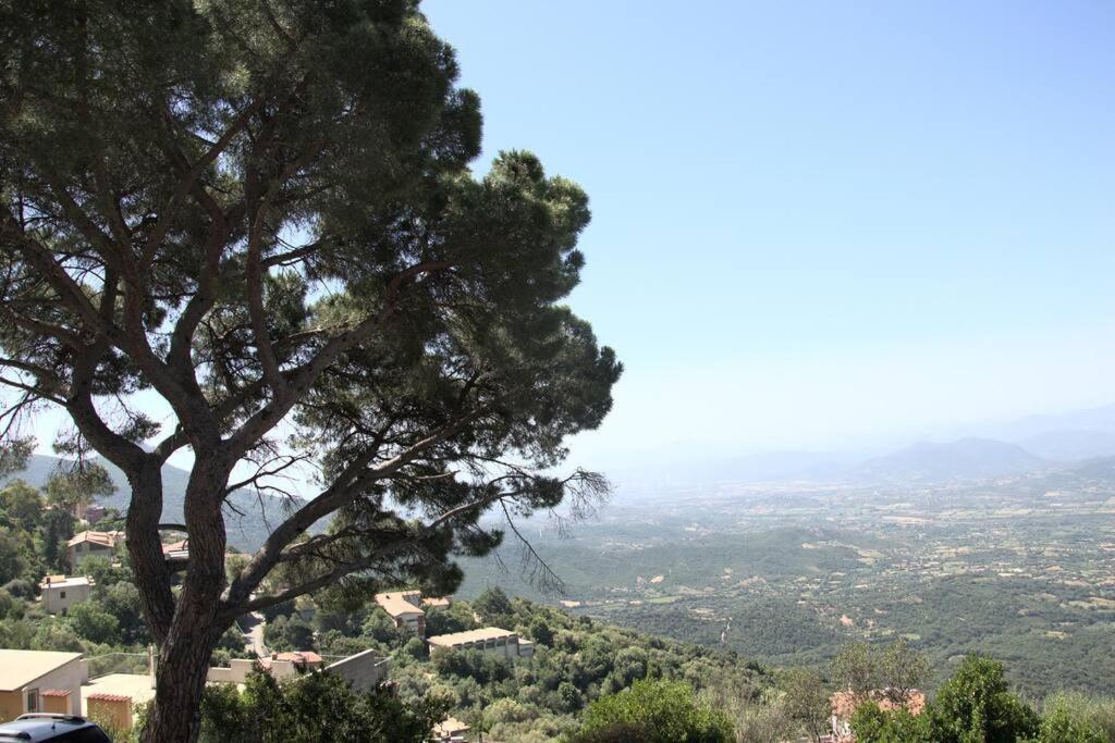 Montecolcau Panoramic View Apartment Baunei Exterior photo